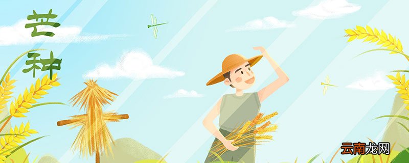 2020芒种是几月几日 2020芒种是几月几号