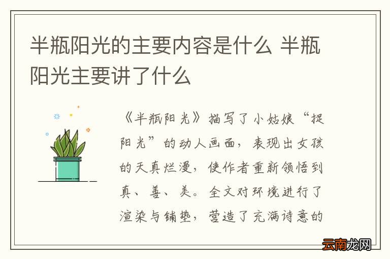 半瓶阳光的主要内容是什么 半瓶阳光主要讲了什么