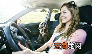 奥迪q7左前门板拆装步骤 奥迪q7尾门用431怎么复位