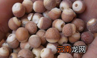 鸡头米保存方法，鸡头米如何保存