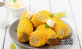 熟玉米放冰箱可以吗 玉米可以煮熟放冰箱吗