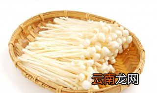 肉末蒸金针菇的做法窍门 肉末蒸金针菇的做法