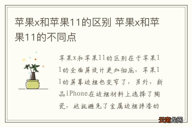 苹果x和苹果11的区别 苹果x和苹果11的不同点