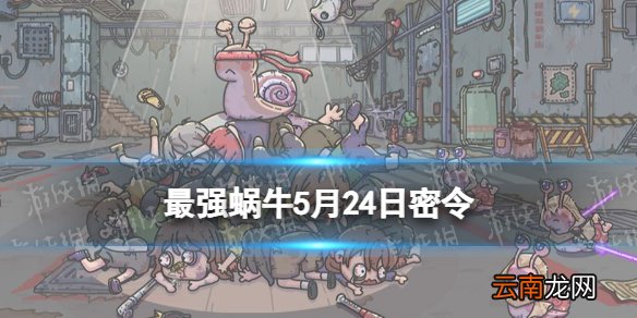 最强蜗牛5月24日密令是什么 最强蜗牛2022年5月24日密令一览