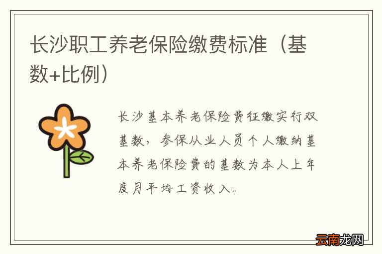 基数+比例 长沙职工养老保险缴费标准