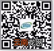 湖南职工社会养老保险个人账户查询入口汇总