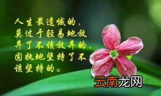 积极好心态早安语 积极好心态早安语分享