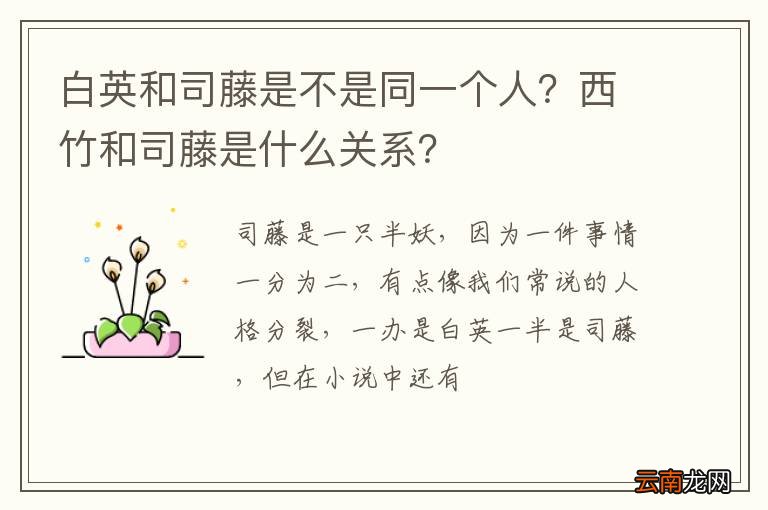 白英和司藤是不是同一个人？西竹和司藤是什么关系？