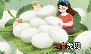 保存蚕卵的方法 保存蚕卵的方法是冷冻还是冷藏