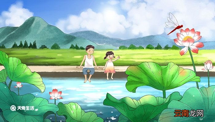 三伏天是什么意思 三伏天的意思
