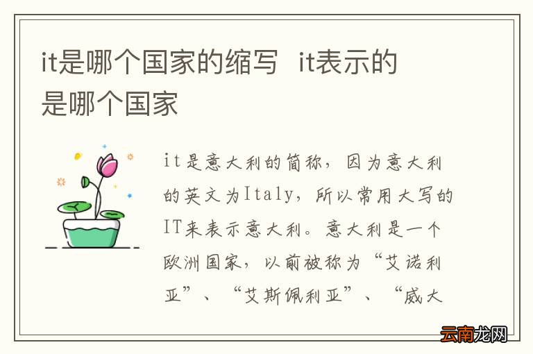 it是哪个国家的缩写it表示的是哪个国家