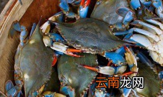 帝王蟹的保鲜方法 帝王蟹的保存方法