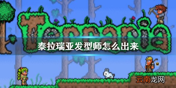 泰拉瑞亚发型师怎么出来 泰拉瑞亚发型师入住条件介绍