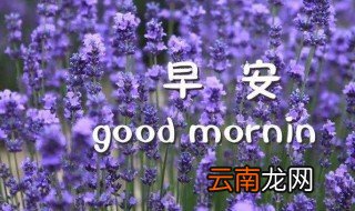 很温馨的早安问候短语 很温馨的早安问候短语分享
