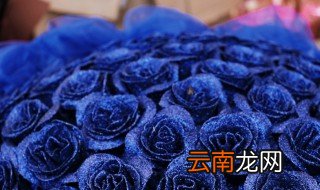 收到蓝色妖姬怎么保存 这两种方法都是可以的
