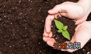 养殖土方法与注意事项，的养殖方法和注意事项