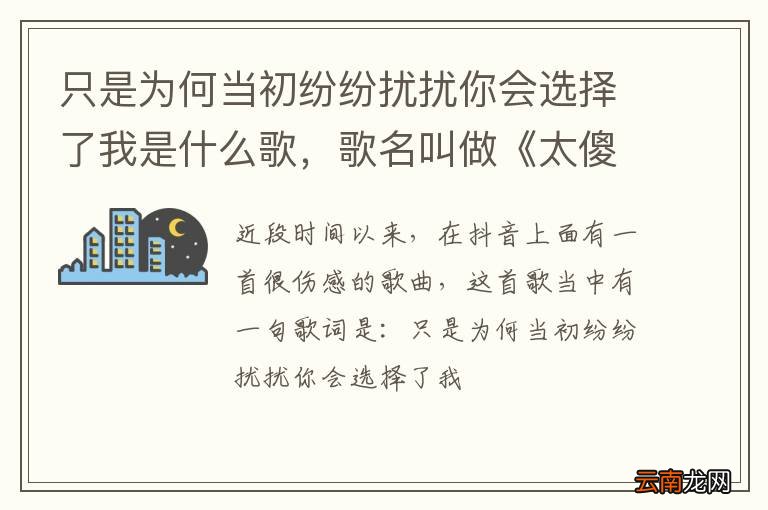 只是为何当初纷纷扰扰你会选择了我是什么歌，歌名叫做《太傻》
