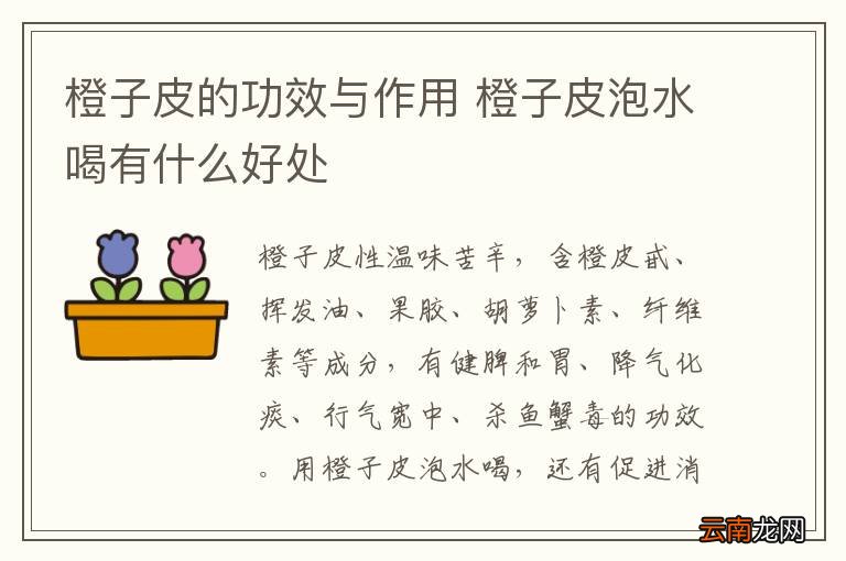 橙子皮的功效与作用 橙子皮泡水喝有什么好处