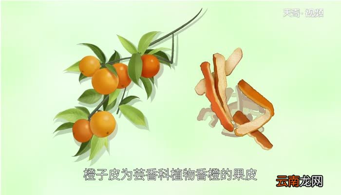 橙子皮的功效与作用 橙子皮泡水喝有什么好处