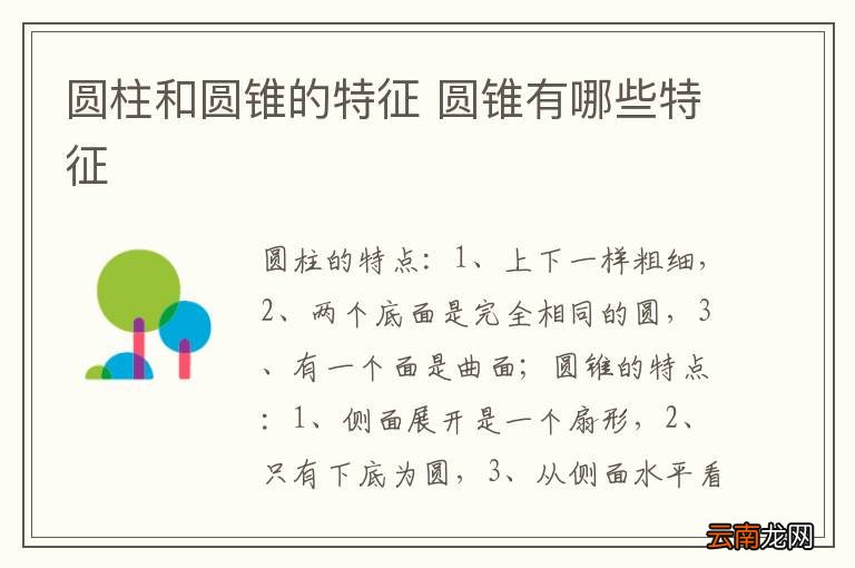 圆柱和圆锥的特征 圆锥有哪些特征