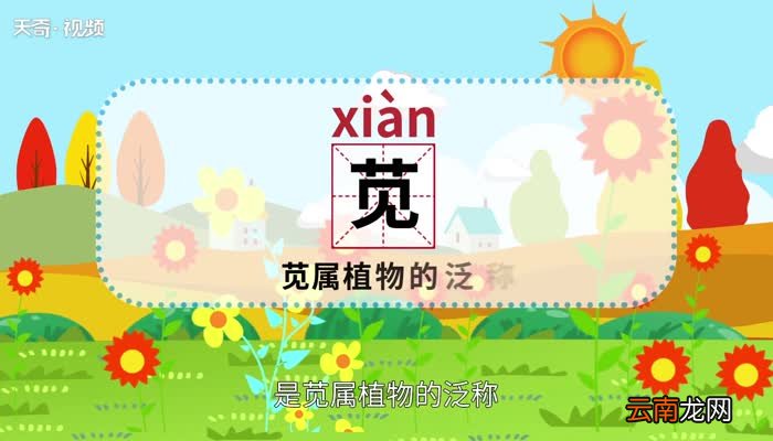 苋怎么读 苋怎么读法