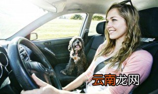 奥迪a8tdl是什么意思 奥迪A8TDL