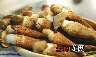 鸡枞如何保存 鸡枞的保存方法
