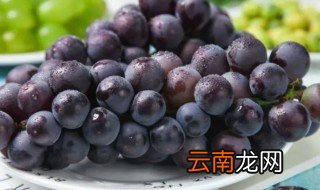 葡萄怎么保存方法 葡萄的保存方法
