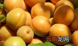 鲜杏保存方法,鲜杏怎样保鲜