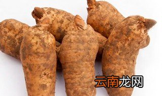 鲜天麻最简单的保存方法 鲜天麻保存方法