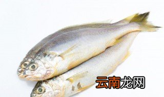 鱼没杀可以放冰箱冻吗 没杀的鱼放冰箱可以吗