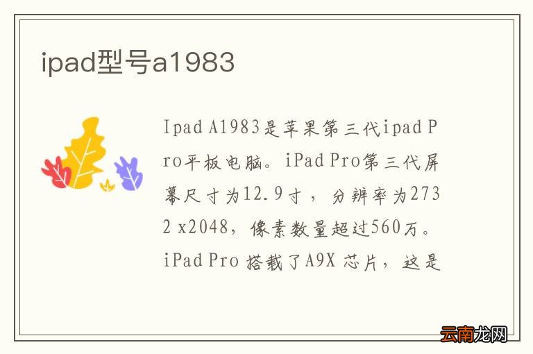 ipad型号a1983