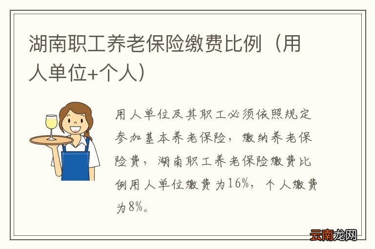 用人单位+个人 湖南职工养老保险缴费比例