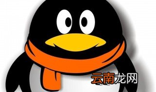 手机qq怎么加好友 手机QQ如何加好友