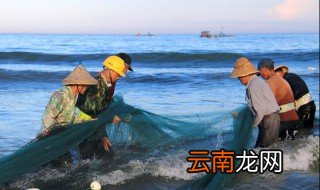 河南适合养殖什么鱼 河南适合养鱼吗