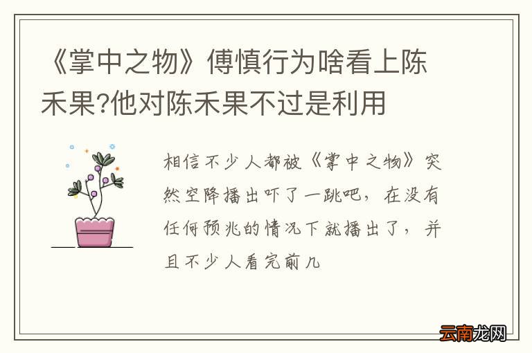《掌中之物》傅慎行为啥看上陈禾果?他对陈禾果不过是利用