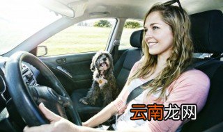奥迪c6是什么意思，奥迪a6为什么叫c6