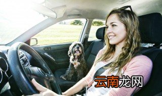 奥迪方向盘什么意思 奥迪的方向盘是什么样的