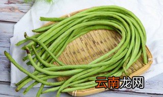 豆类保存方法 豆制品的保存和处理方法