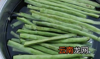 芸豆保存方法 芸豆保鲜方法