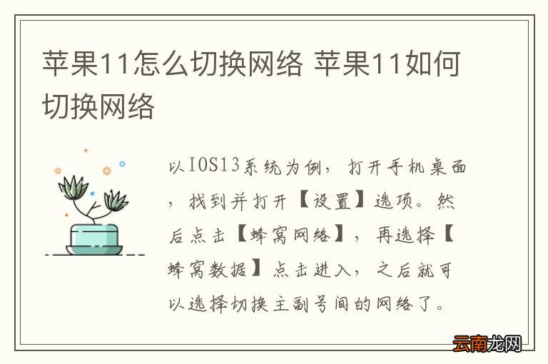 苹果11怎么切换网络 苹果11如何切换网络