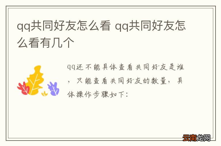 qq共同好友怎么看 qq共同好友怎么看有几个