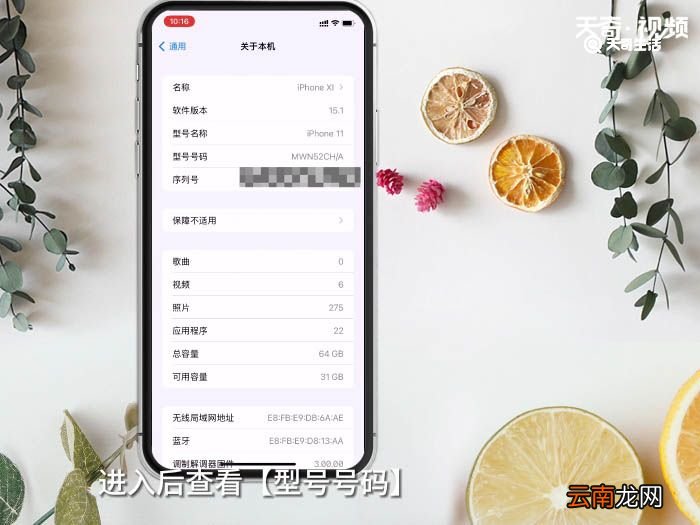 怎么看苹果是国行还是其他版本 怎么看苹果手机是什么版本