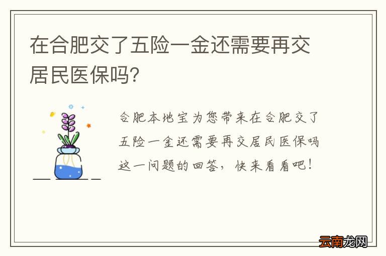 在合肥交了五险一金还需要再交居民医保吗？