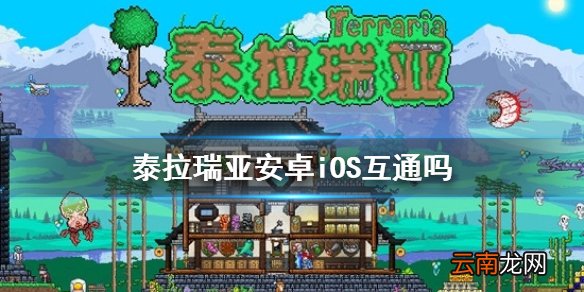 泰拉瑞亚安卓iOS互通吗 泰拉瑞亚安卓苹果互通介绍