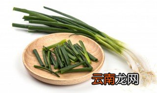 香葱怎么保存方法 香葱如何保存