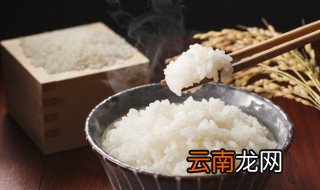饭店电饭锅煮粥方法 怎么煮的好吃呢