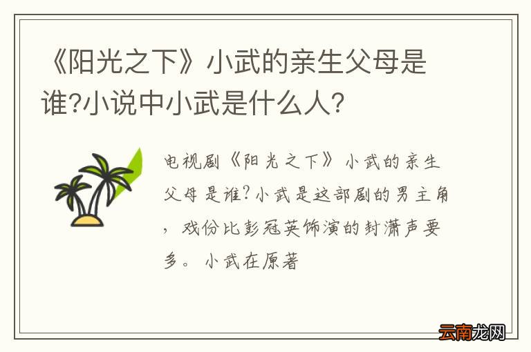 《阳光之下》小武的亲生父母是谁?小说中小武是什么人?