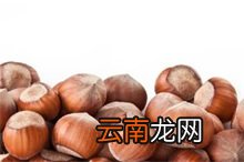 榛子百科，榛子是什么榛子