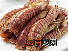 皮皮虾百科 皮皮虾是什么虾